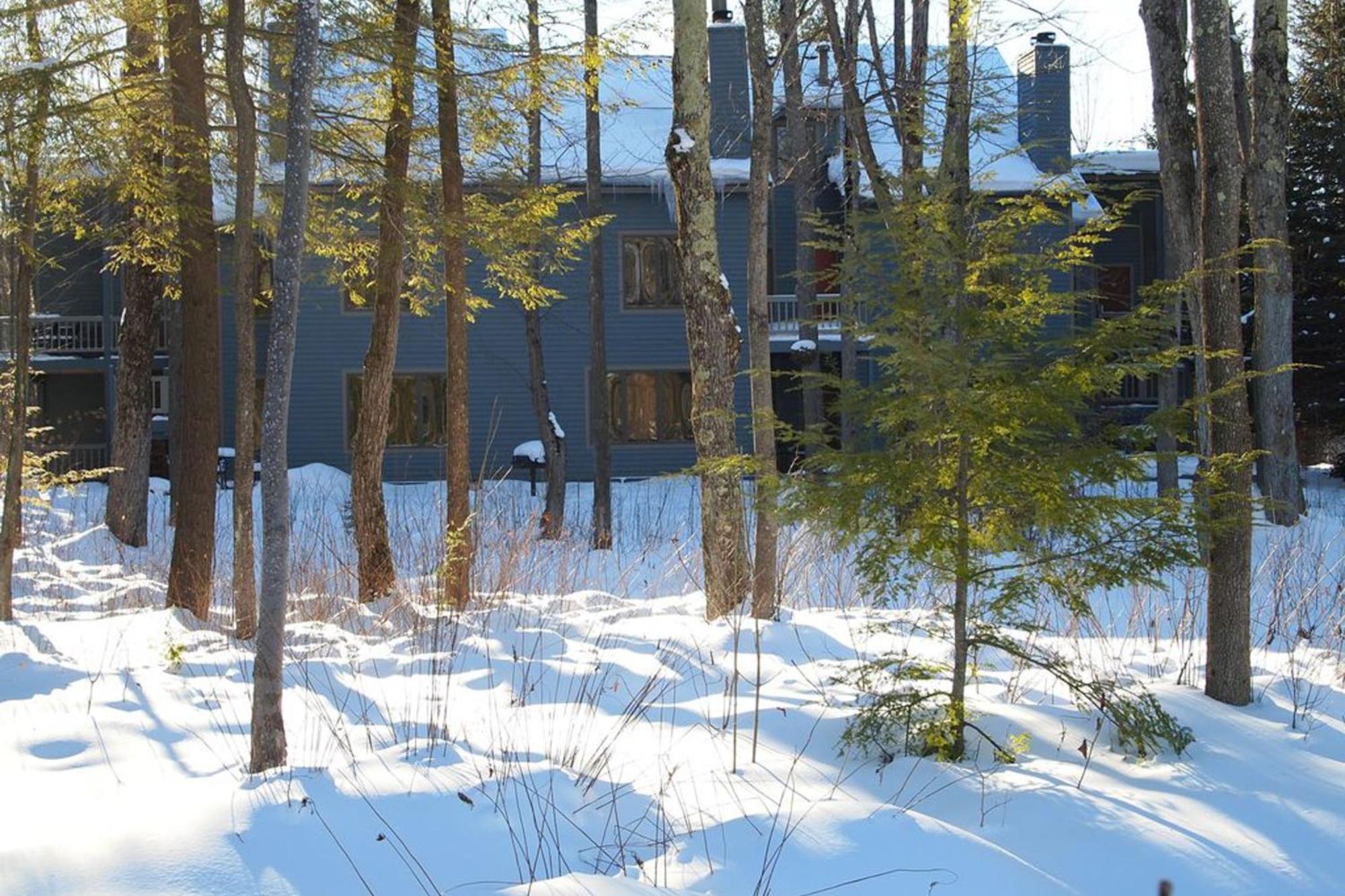 Wintergreen Condos Thompsonville Bilik gambar
